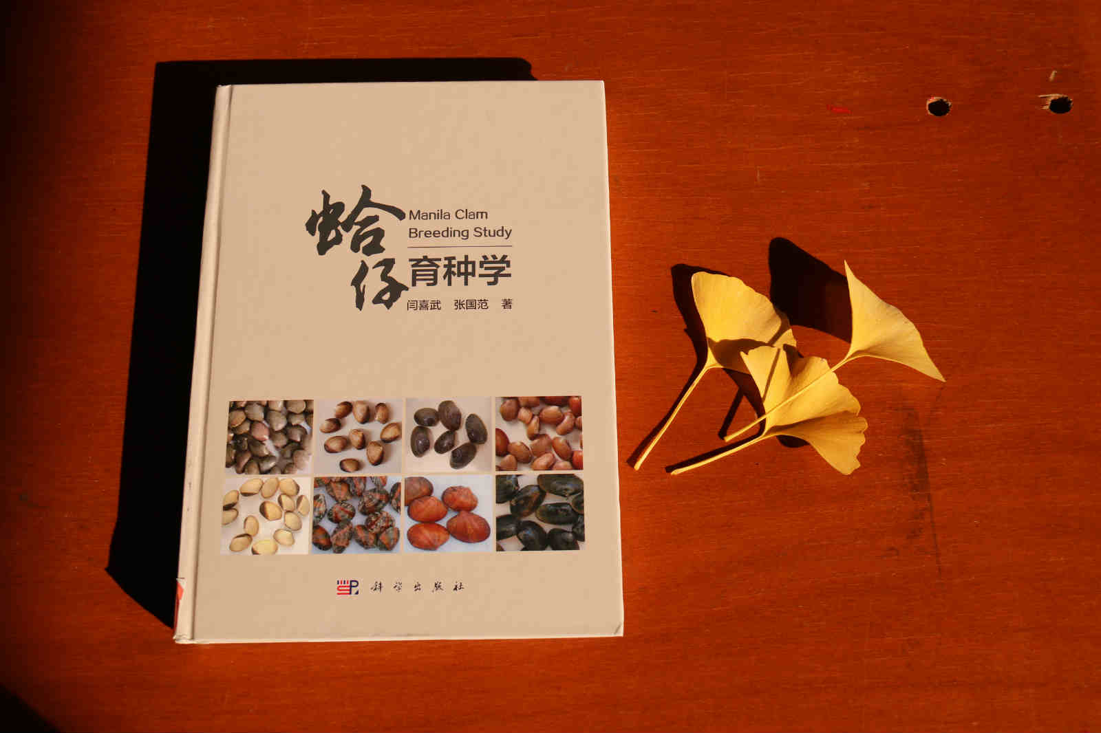 孔淑贞 《秋日思念》.jpg