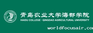 海都学院