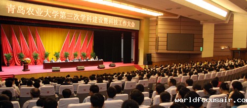 信息公开